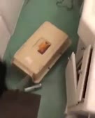 288x360