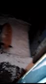 200x360