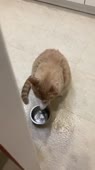 406x720