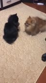 360x640