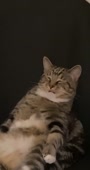 384x720