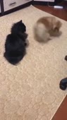 360x640