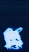 406x720