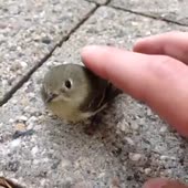 360x360