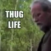 360x360