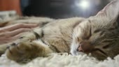 400x226