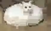 448x280