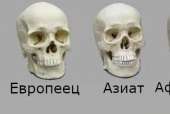 378x255