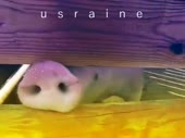 480x360