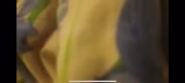 720x324