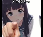 658x576