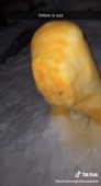 540x992