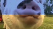 640x360