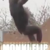 360x360