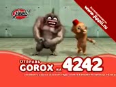 320x240