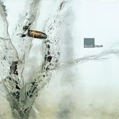 360x360