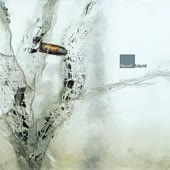 360x360