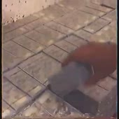 360x360