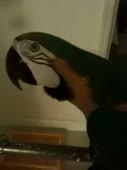 270x360