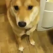 360x360