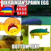 360x360