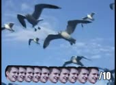 490x360