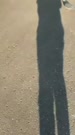576x1024