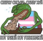 300x286