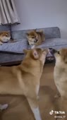 360x640
