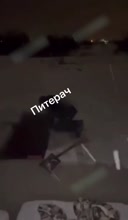 384x656
