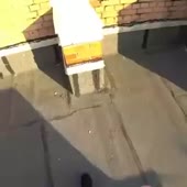 360x360