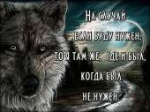 500x375