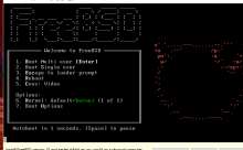 695x432