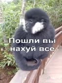 360x480