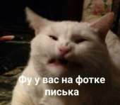 400x349