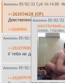 226x288