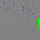 600x600