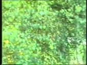 480x360