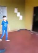 292x400