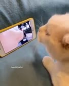 288x360