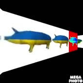 480x480