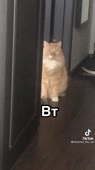 540x960