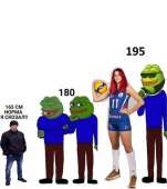 891x1000