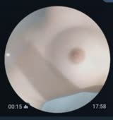 272x288