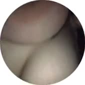 240x240
