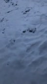 408x720