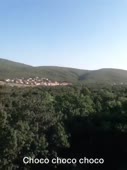 480x640