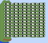 823x748