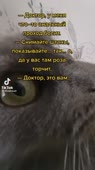 576x1024