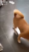 464x828